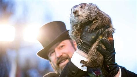Forget The Groundhog Prediction 7 Animals Who Will Give Bride